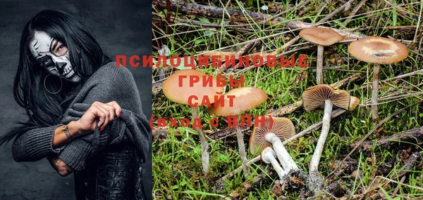 мяу мяу мука Иннополис