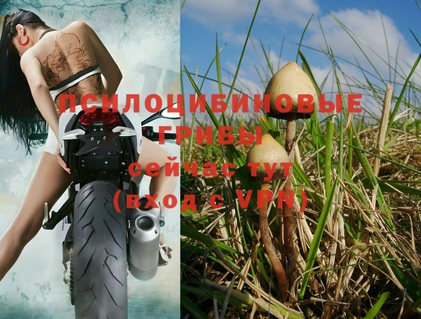 тгк Инта