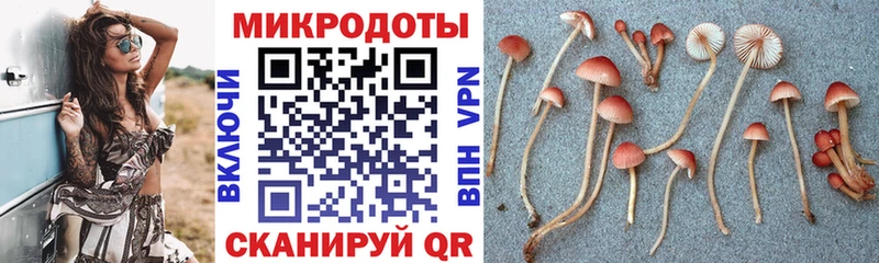 Купить закладки  Белореченск  Псилоцибиновые грибы Psilocybine cubensis 
